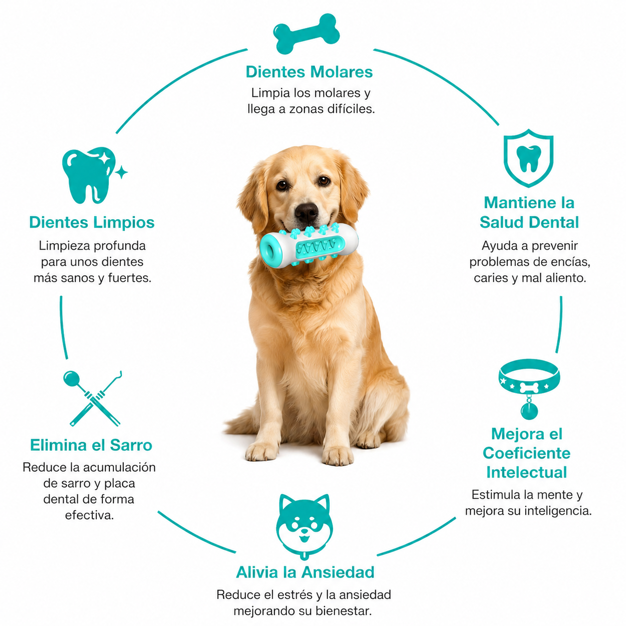 Juguete para Limpiar los Dientes del Perro