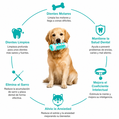 Juguete para Limpiar los Dientes del Perro